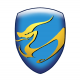 VIRDI logo
