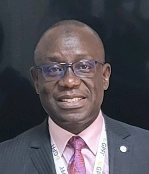 Dr MKO Balogun Photo